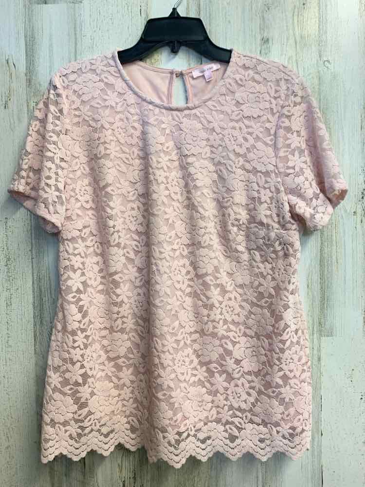TEDDI ROSE Tops Size L Pink Lace SHORT SLEEVES TOP