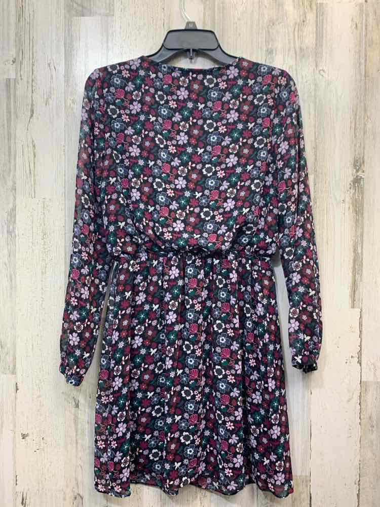 EXPRESS Dresses and Skirts Size S BLK/PUR/BLU FLOWERS LONG SLEEVES Dress