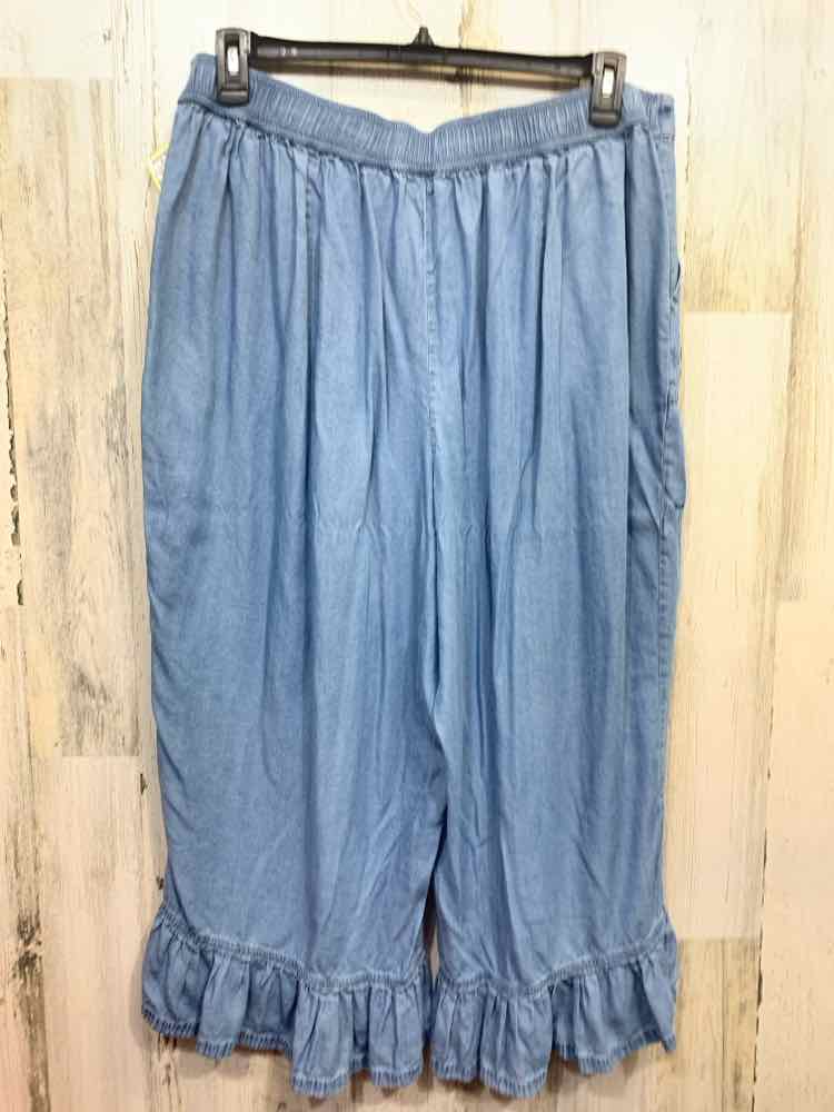 PRE-OWNED Size 18/20 CATO BOTTOMS LIGHT BLUE Denim TIER RELAXED FIT Pants/LIGHT