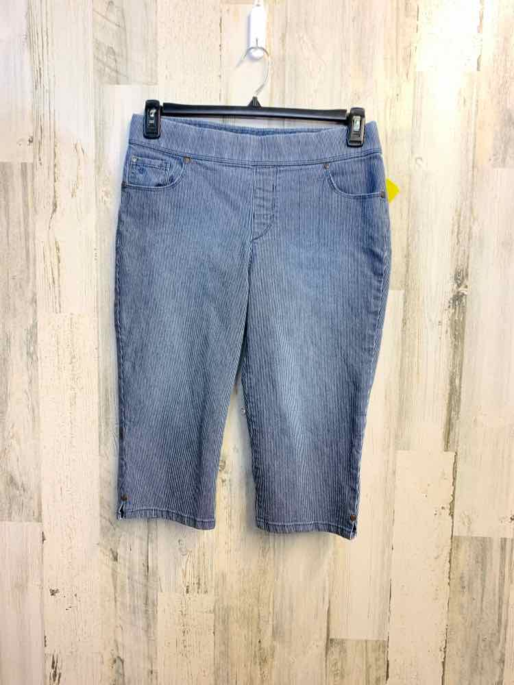 Size 8 GLORIA VANDERBILT BOTTOMS NAVY/WHT Pinstripe CAPRI CAPRI