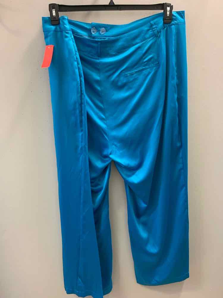 Size 3X NINA PARKER AQUA Pants