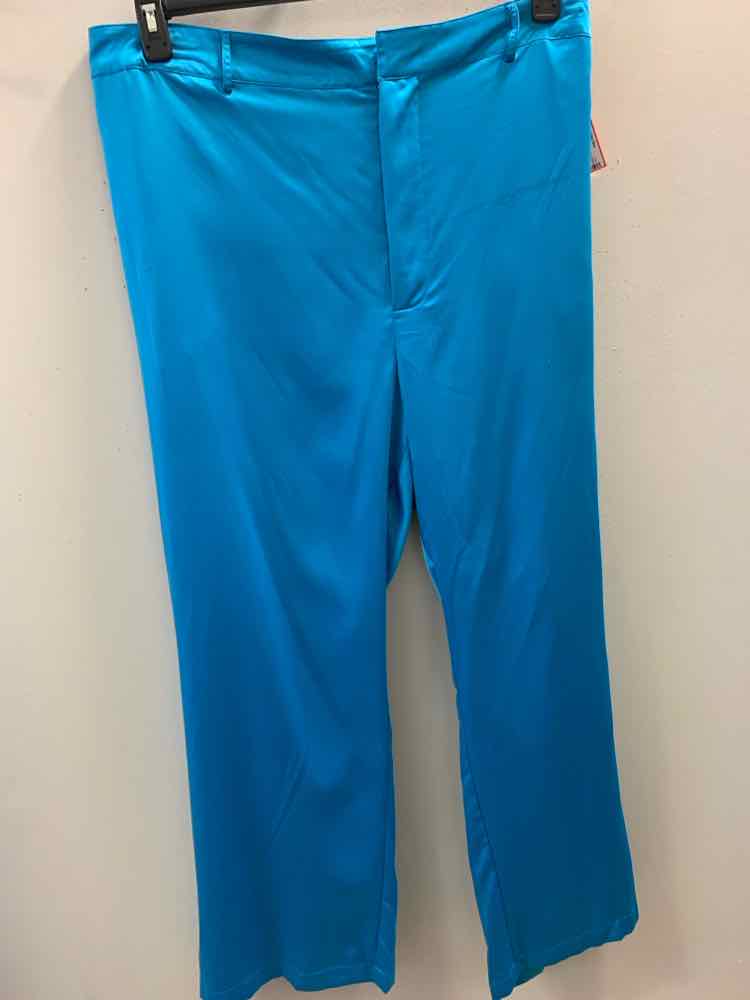 Size 3X NINA PARKER AQUA Pants