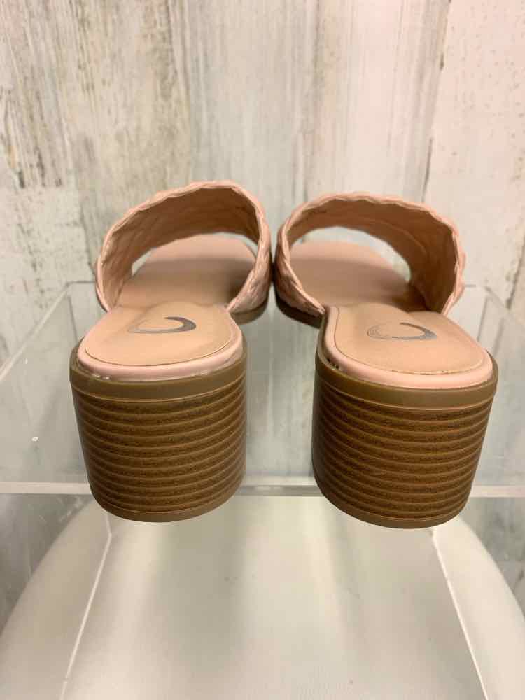 NWT SILVER CIRCLE SHOES Shoe Size 9.5 BLUSH SLIDE Shoes