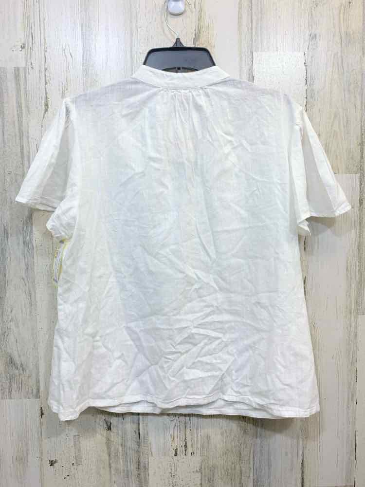NWT KNOX ROSE Tops Size M WHT Solid BELL SLEEVES Blouse