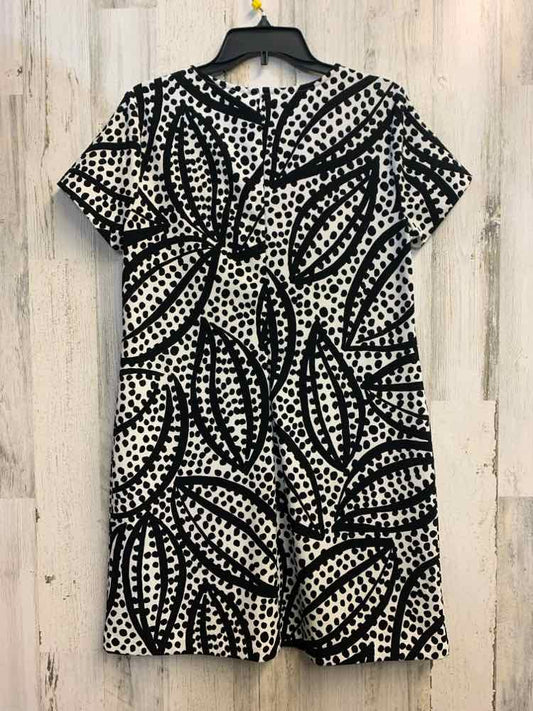 PRE-OWNED ANN TAYLOR Dresses and Skirts Size LP BLACK/WHITE DOTS A-LINE Dress/A-