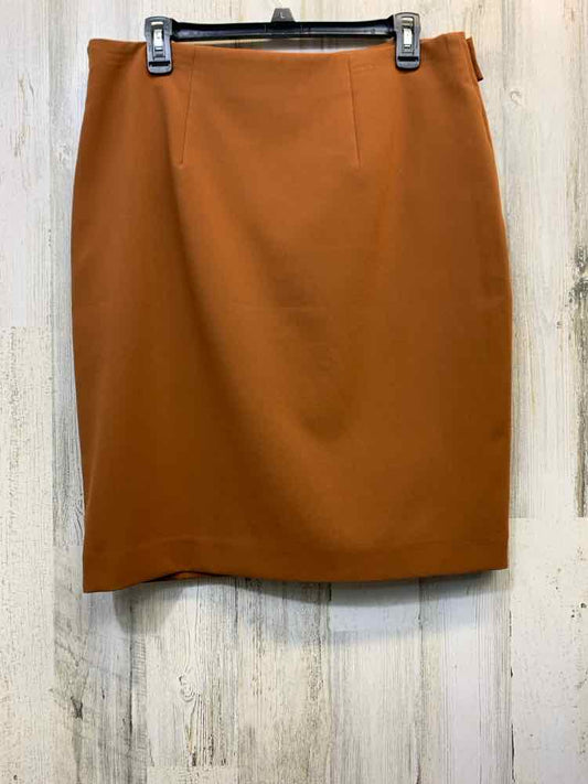 PRE-OWNED ANN TAYLOR Dresses and Skirts Size 10 Tan Solid A-LINE Skirt
