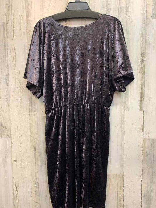 XHILARATION Dresses and Skirts Size L GUNMETAL Velour FLUTTER Dress