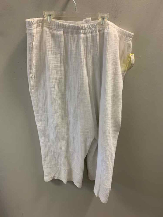 Size 18 ALFRED DUNNER PLUS SIZES White Pants