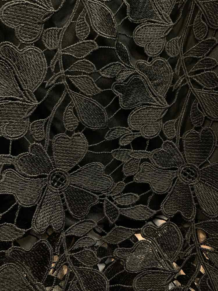 NWT A NEW DAY Dresses and Skirts Size XL Black Lace MIDI Skirt