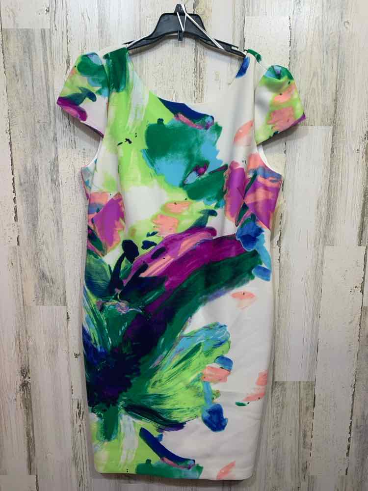 PRE-OWNED DONNA RICCO Dresses and Skirts Size 16 WATERCOLOR SHEATH Dress/SHEATH