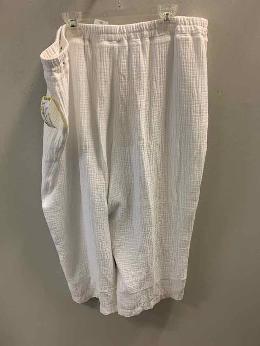 Size 18 ALFRED DUNNER PLUS SIZES White Pants