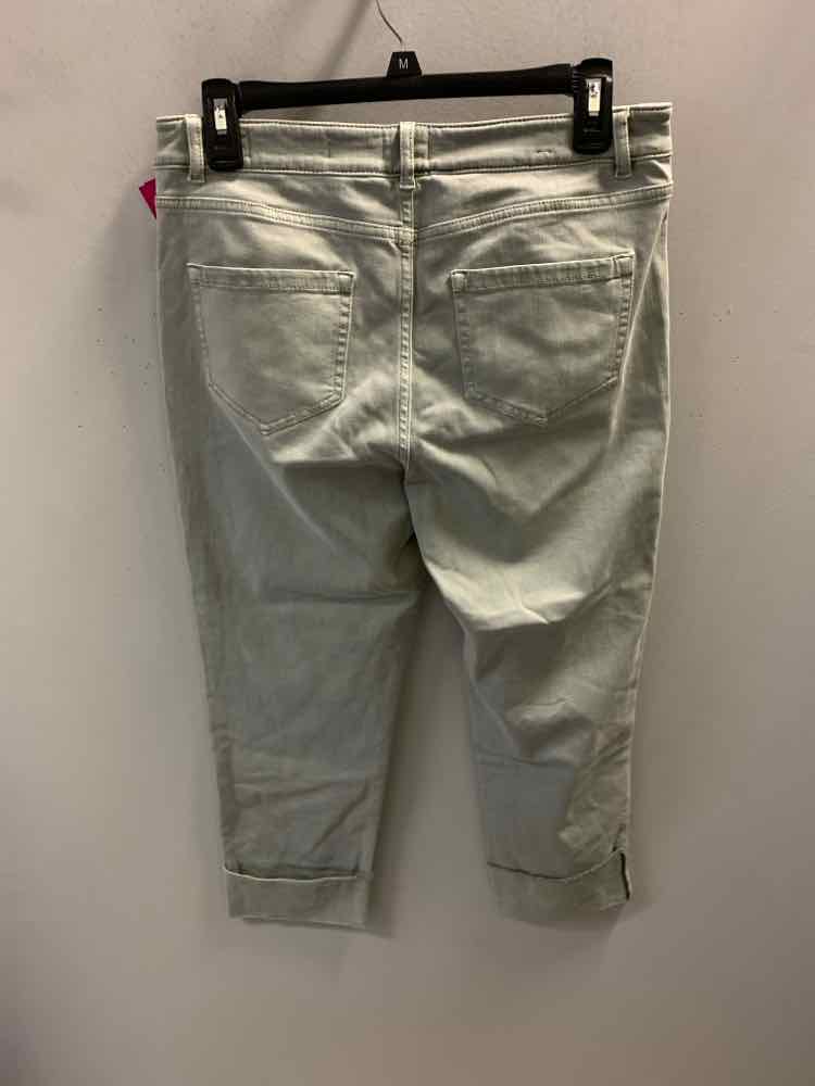 Size 8P J JILL BOTTOMS Green Pants