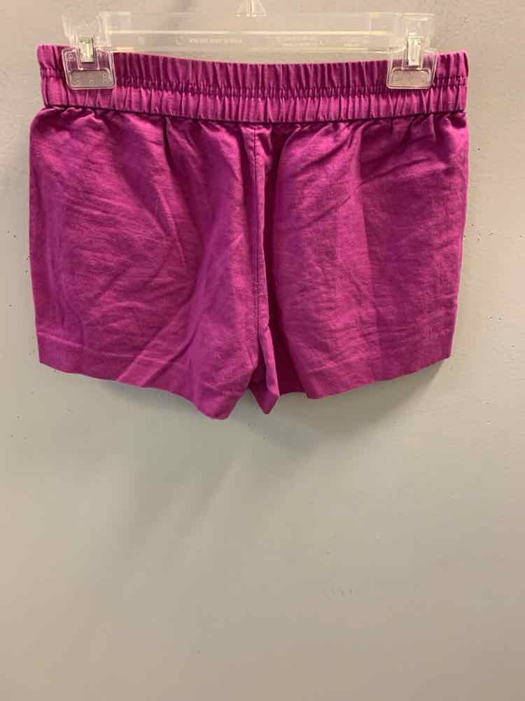 Size 0 J. CREW BOTTOMS Purple Shorts