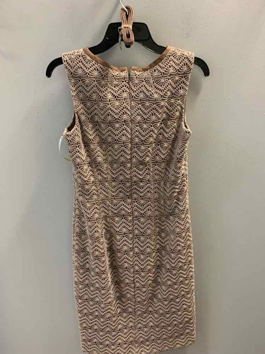 ANNE KLEIN Dresses and Skirts Size 8 Taupe SLEEVELESS Dress