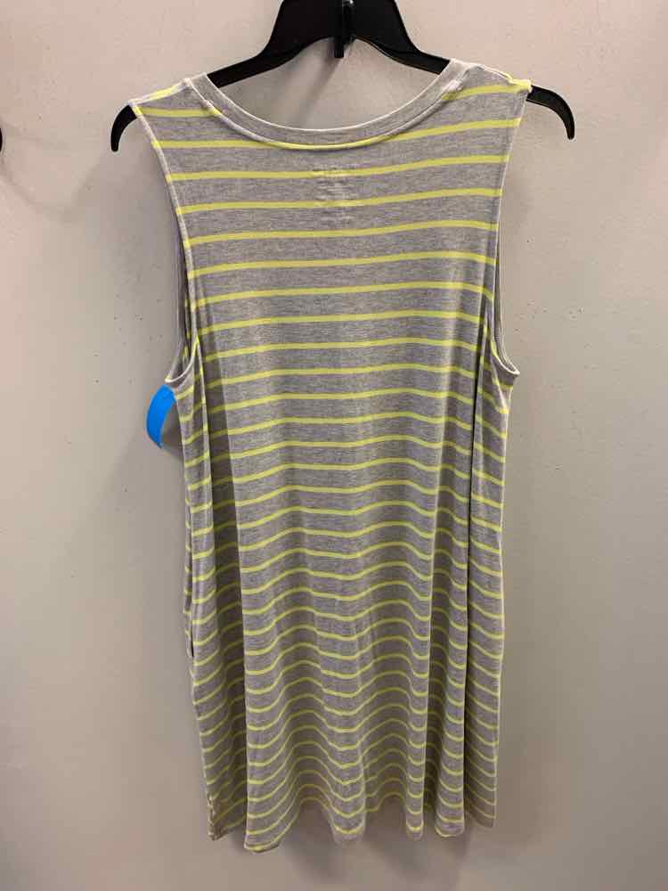 TIME AND TRU PLUS SIZES Size XXL GRY/YEL Stripe Dress