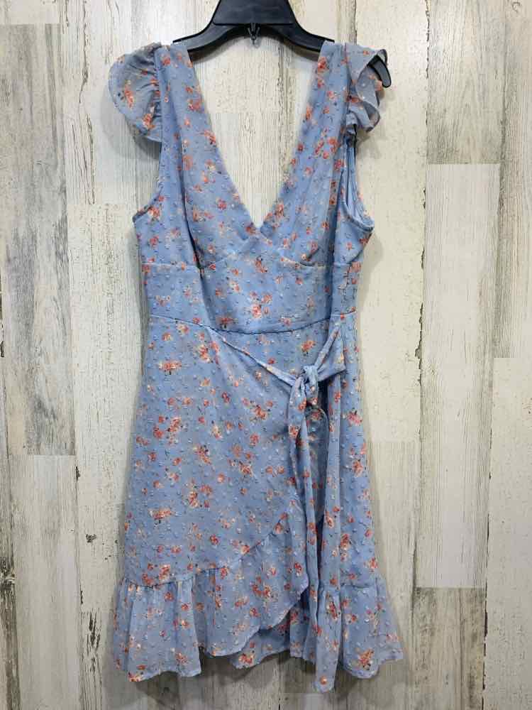 PRE-OWNED DEE ELLY Dresses and Skirts Size L BLU/WHT/PNK Floral Dress/RUFFLE SLE