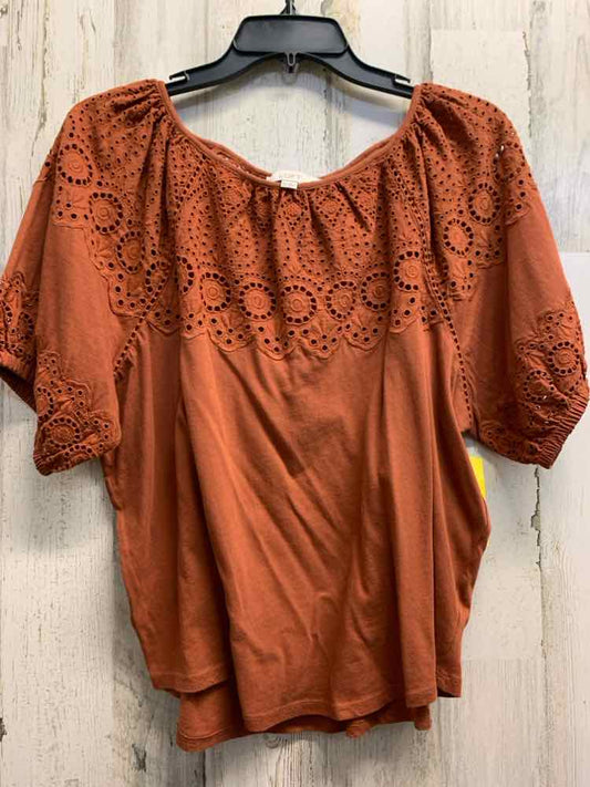 PRE-OWNED LOFT Tops Size M Brown Eyelet 3/4 SLEEVE Blouse/BROWN EYELET PATTERN T