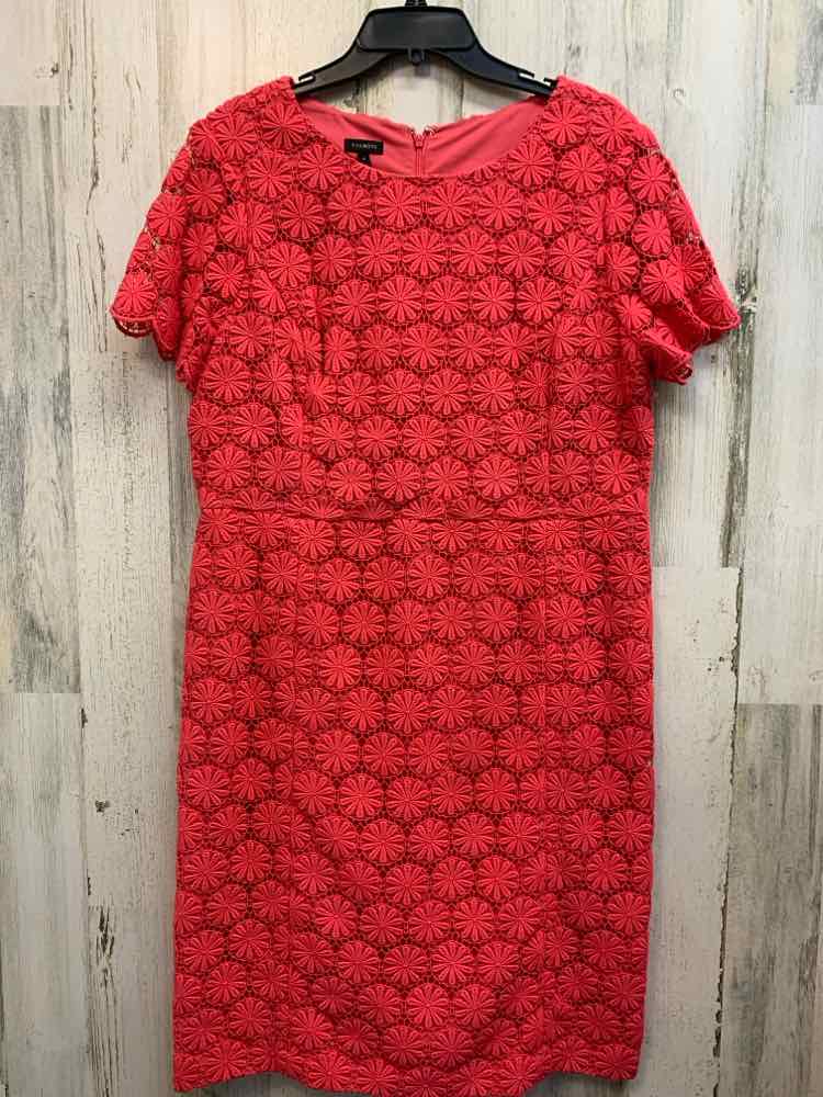 NWT TALBOTS Dresses and Skirts Size 16 Pink Lace SHEATH Dress/PINK FLORAL LACE S