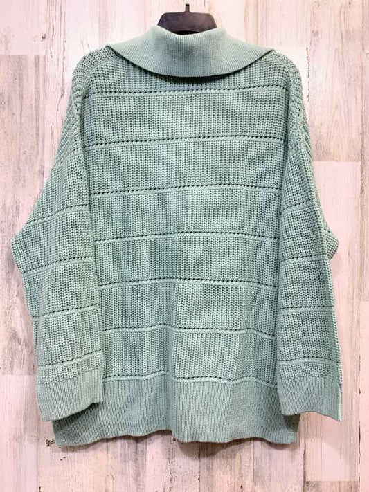 NWT AVA VIV PLUS SIZES Size 1X Green LONG SLEEVES Sweater