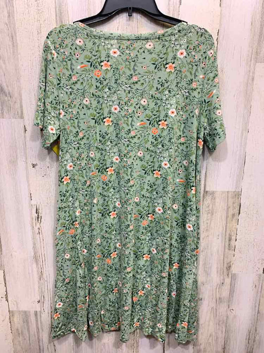 PRE-OWNED Dresses and Skirts Size XL PASTEL GREEN/WHITE/CORAL BIRDS Swimsuit/SHO