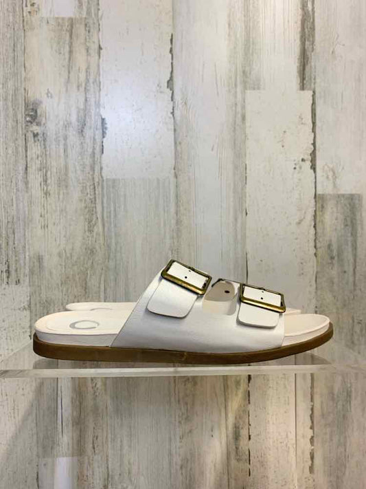 NWT SHOES Shoe Size 8 WHT Shoes