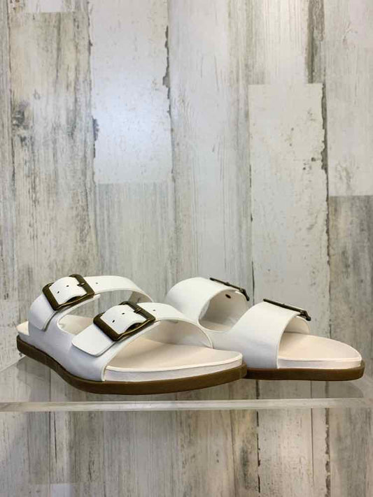 NWT SHOES Shoe Size 8 WHT Shoes