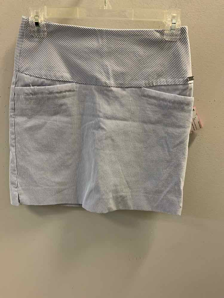 S.C. & CO Dresses and Skirts Size XS Blue Stripe Skirt