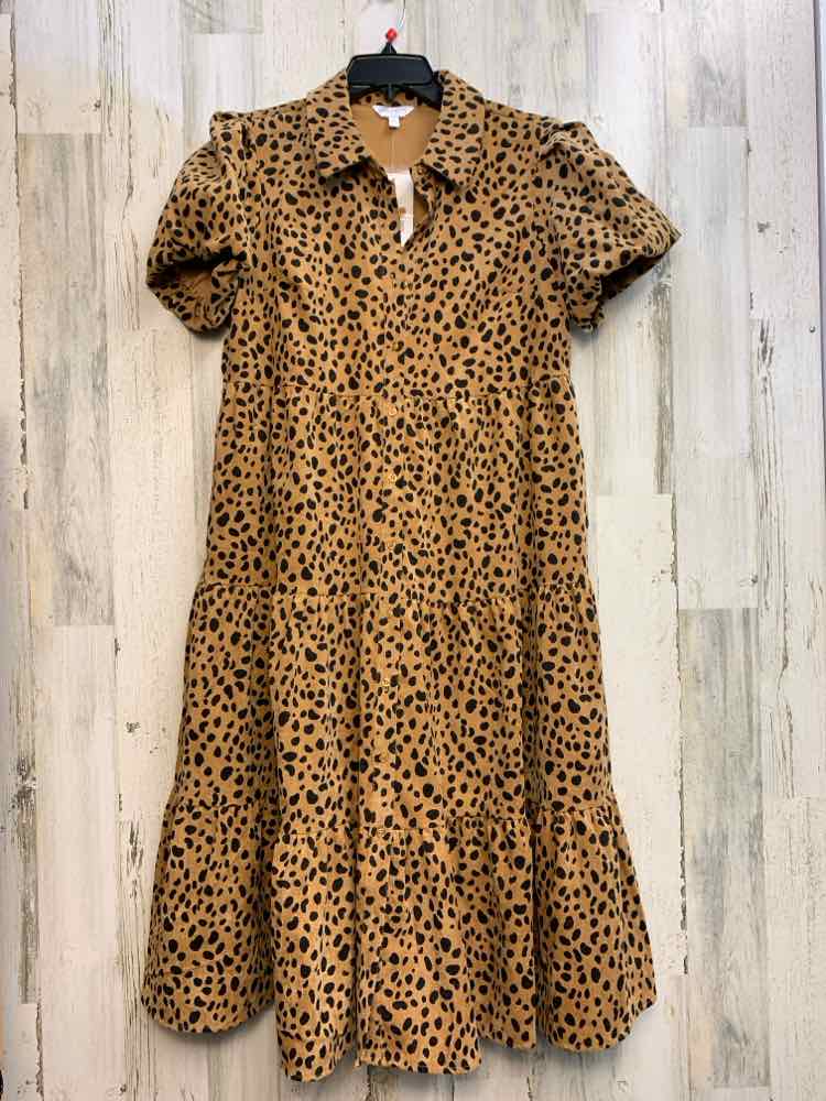 NWT CROWN & IVY Dresses and Skirts Size PL BRN/BLK SHORT SLEEVES Dress/CORDUROY