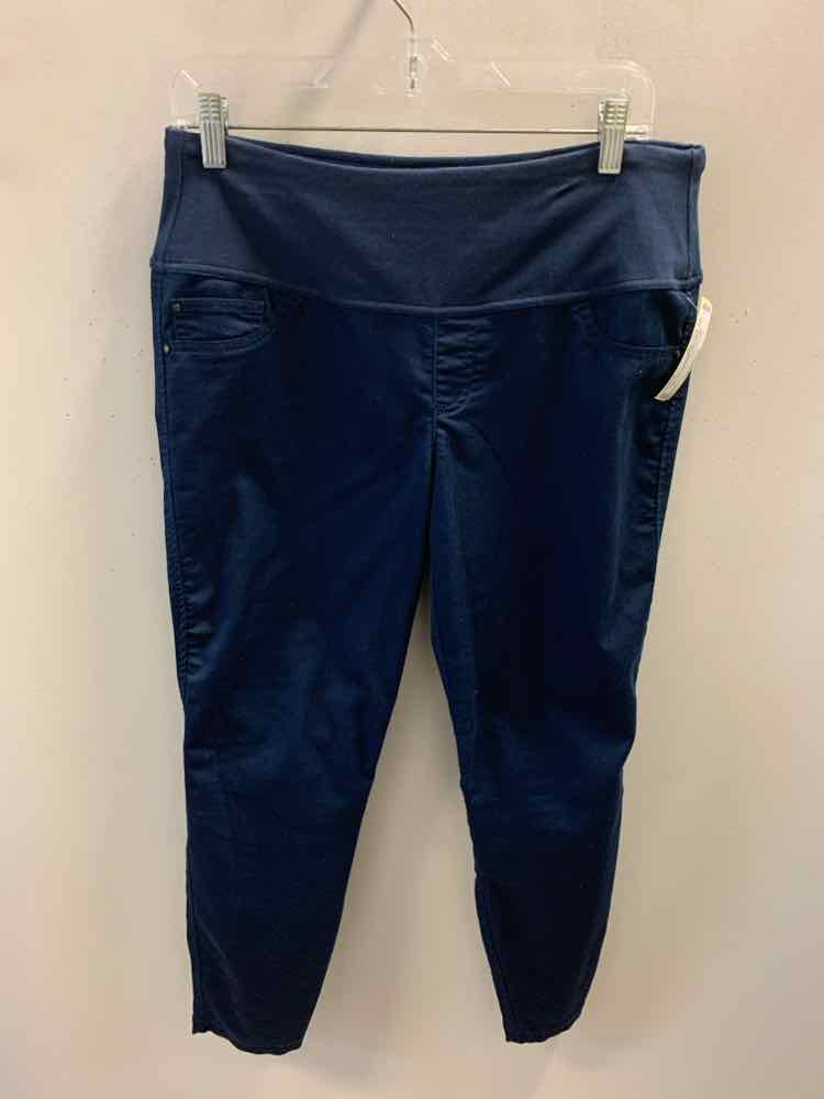 Size 12P INTRO LOVE THE FIT BOTTOMS Navy Pants