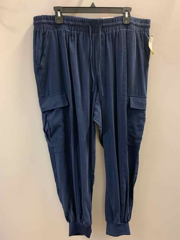 Size 2X INC Navy CARGO Pants