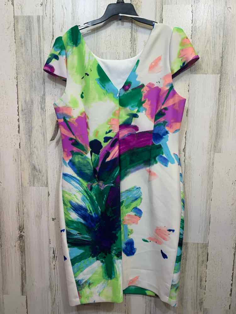 PRE-OWNED DONNA RICCO Dresses and Skirts Size 16 WATERCOLOR SHEATH Dress/SHEATH