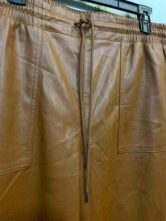 NWT Size XL A NEW DAY BOTTOMS Brown Pants/PLEATHER/DRAW-STRING WAIST