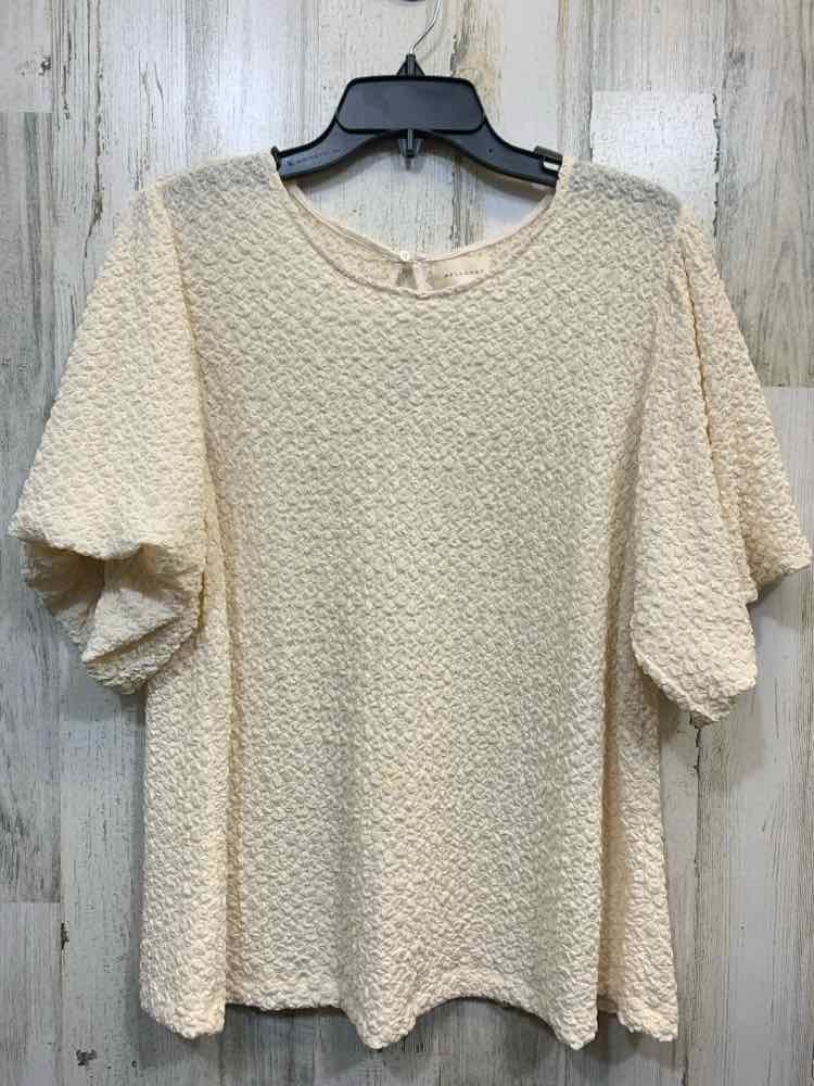 MELLODAY Tops Size XL Cream SHORTSLEEVE Shirt