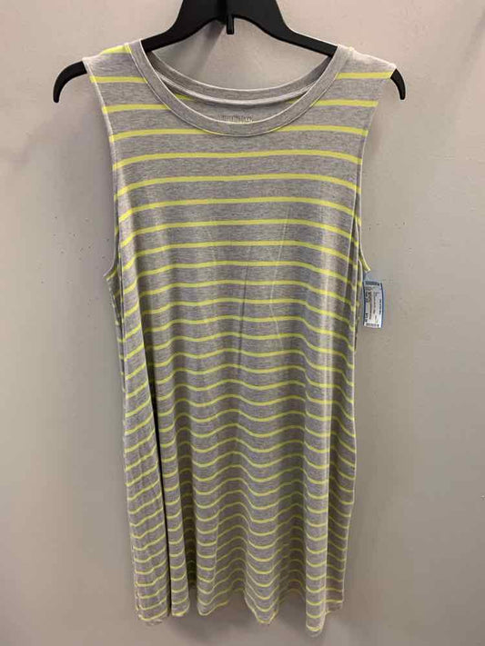 TIME AND TRU PLUS SIZES Size XXL GRY/YEL Stripe Dress