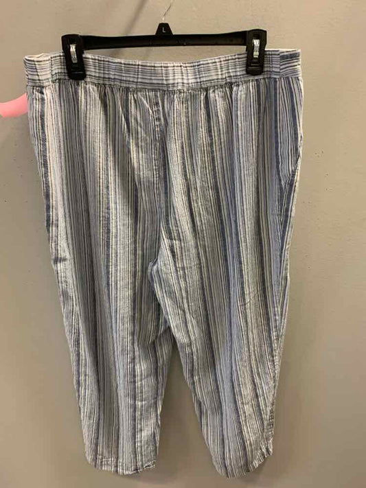 Size 2.5 CHICOS BOTTOMS BLU/WHT Stripe Pants