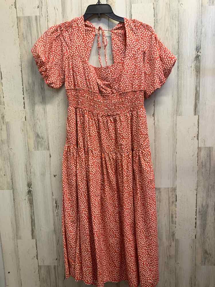 PRE-OWNED ANTHROPOLOGIE Dresses and Skirts Size L BRICK/WHITE Floral MAXI Dress/