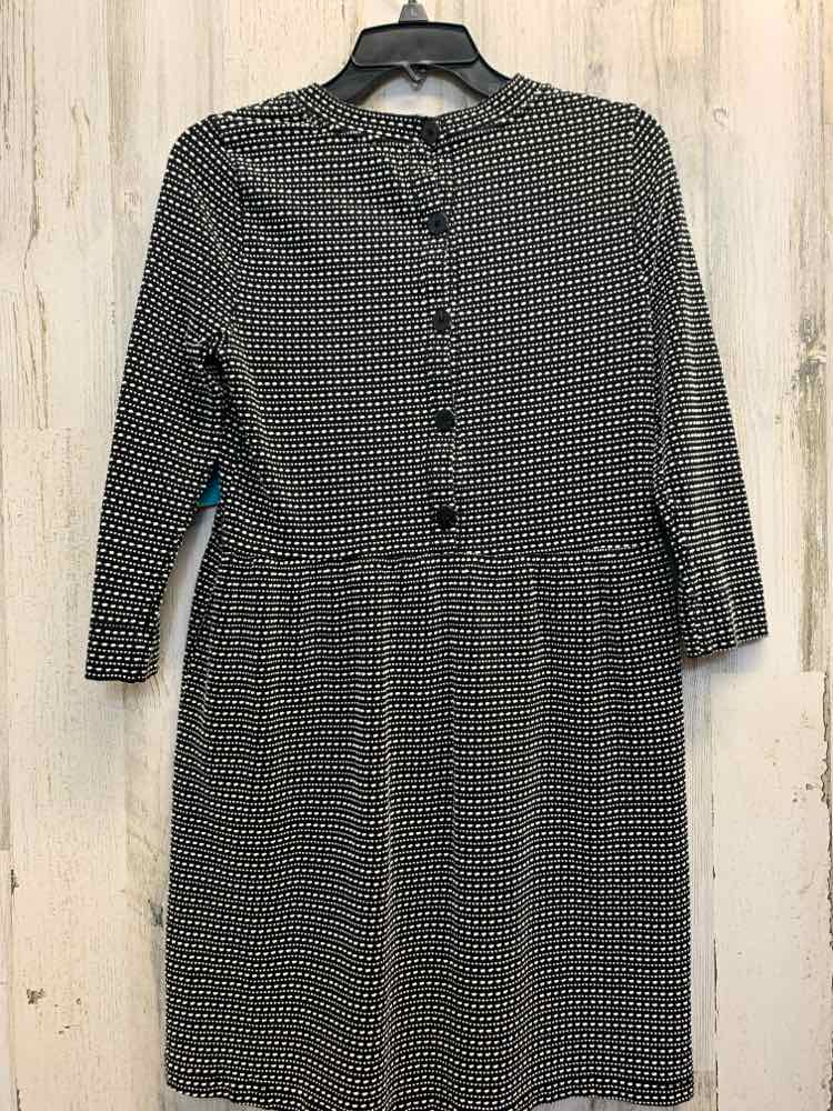 LOFT Dresses and Skirts Size XS BLK/WHT DOTS/LINES LONG SLEEVES Dress
