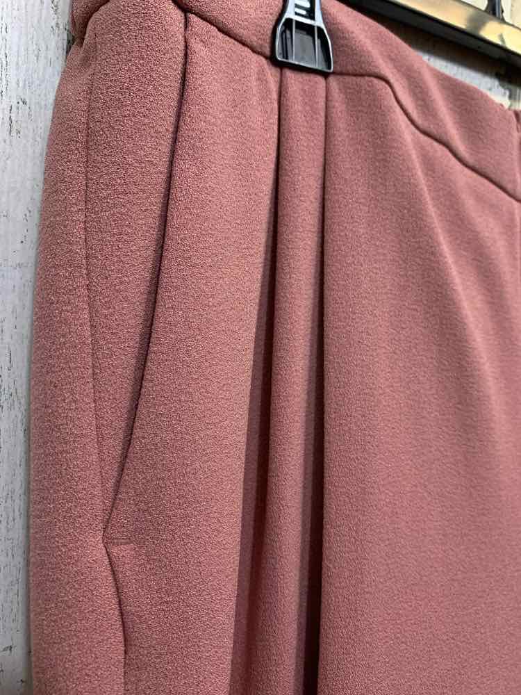 NWT Size XL BAR lll BOTTOMS DUSTY MAUVE Solid PLEATED Pants