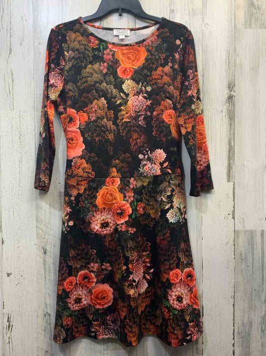 PRE-OWNED TAMSY Dresses and Skirts Size S FALL COLORS ROSES A-LINE Dress/A-LINE