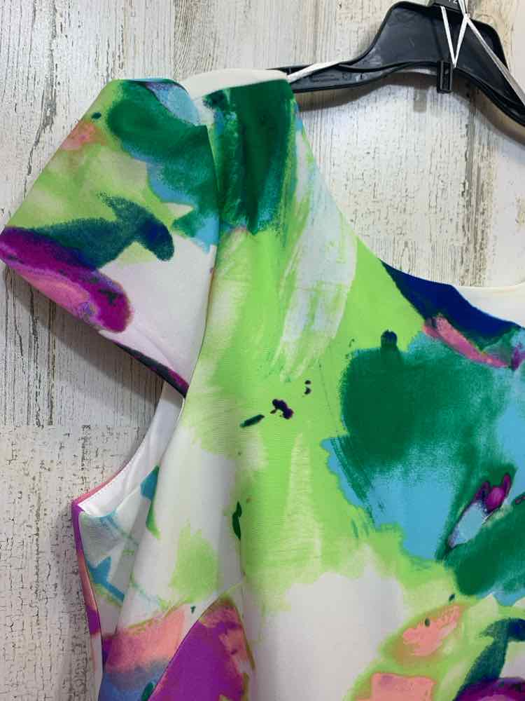 PRE-OWNED DONNA RICCO Dresses and Skirts Size 16 WATERCOLOR SHEATH Dress/SHEATH