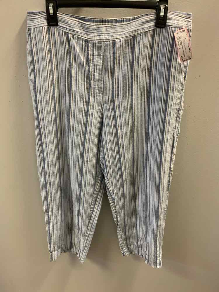 Size 2.5 CHICOS BOTTOMS BLU/WHT Stripe Pants