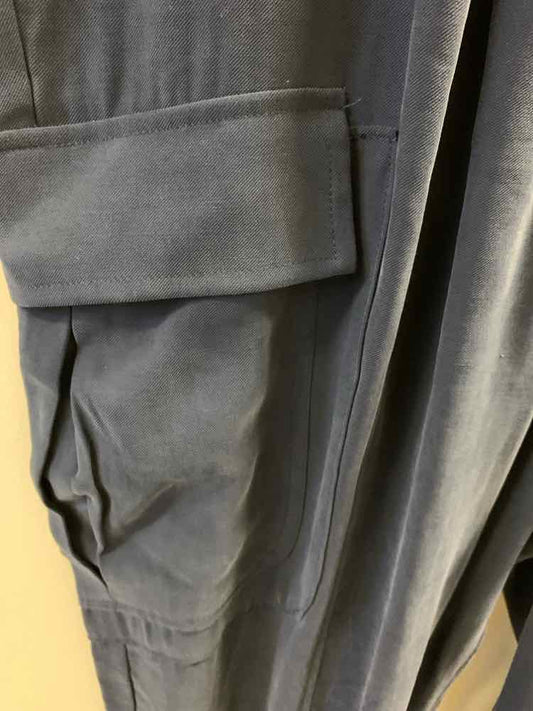 Size 2X INC Navy CARGO Pants