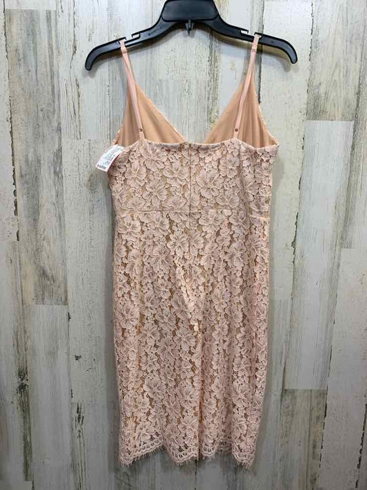 PRE-OWNED LULUS Dresses and Skirts Size M BLUSH Lace SPAGHETTI STRAP Dress/SPAGH