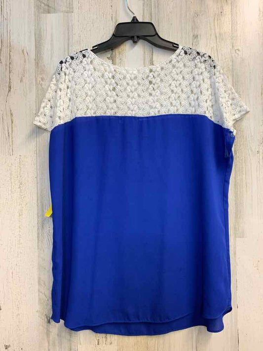 SIGNATURE STUDIO Tops Size L ROYAL BLUE/WHT DOLMAN TOP