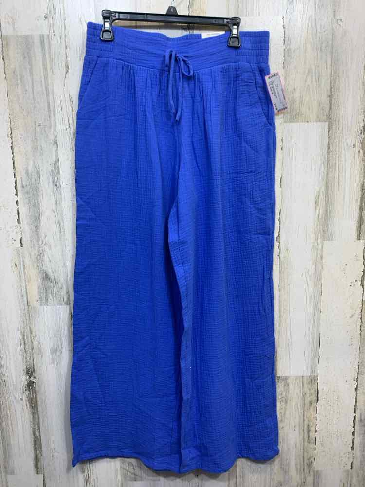 NWT Size M JM COLLECTION BOTTOMS Blue WIDE LEG Pants