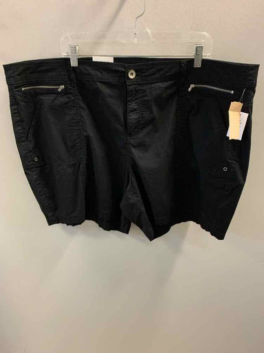 Size 22 BOTTOMS Shorts