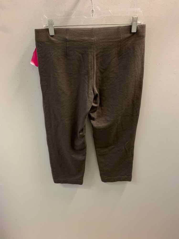 Size XS PURE JILL BOTTOMS Brown Pants