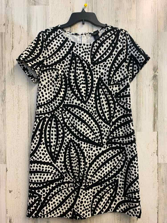 PRE-OWNED ANN TAYLOR Dresses and Skirts Size LP BLACK/WHITE DOTS A-LINE Dress/A-