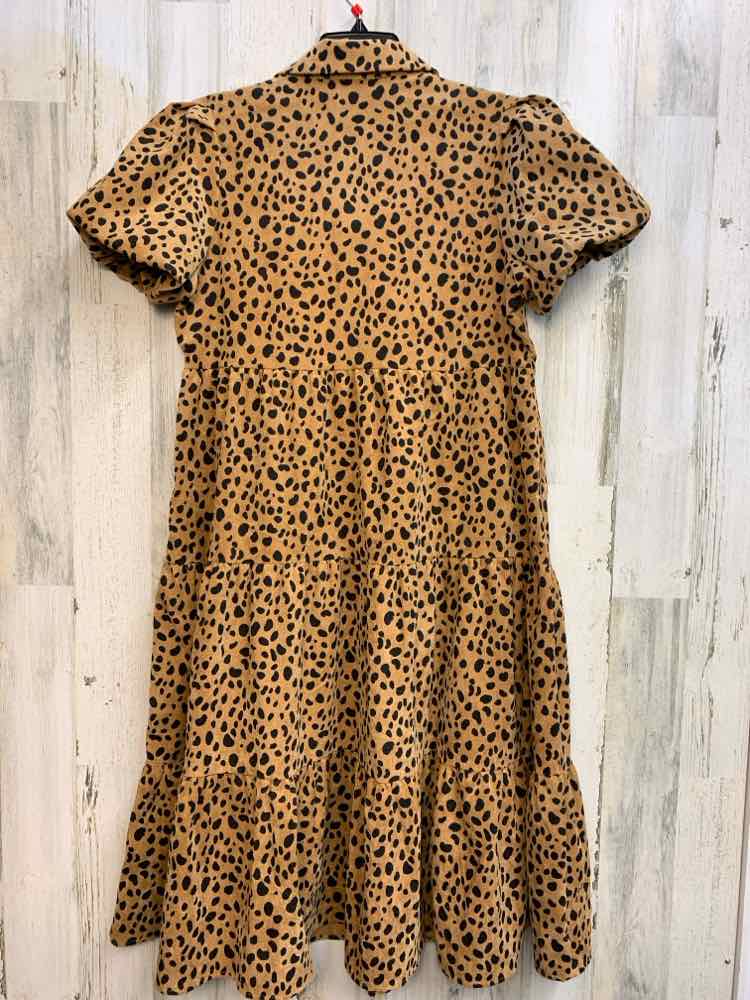 NWT CROWN & IVY Dresses and Skirts Size PL BRN/BLK SHORT SLEEVES Dress/CORDUROY