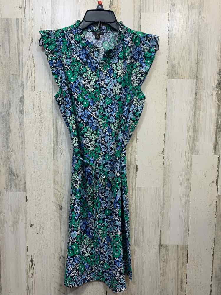 PRE-OWNED ANN TAYLOR Dresses and Skirts Size MP BLCK/GRN/BABY BLU Floral Dress/M